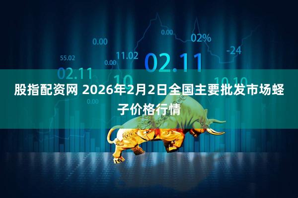 股指配资网 2026年2月2日全国主要批发市场蛏子价格行情